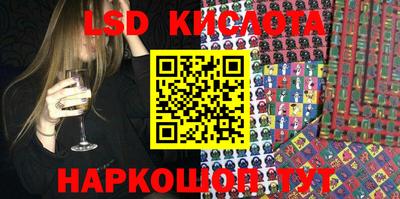 стафф Кудрово