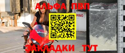 стафф Кудрово