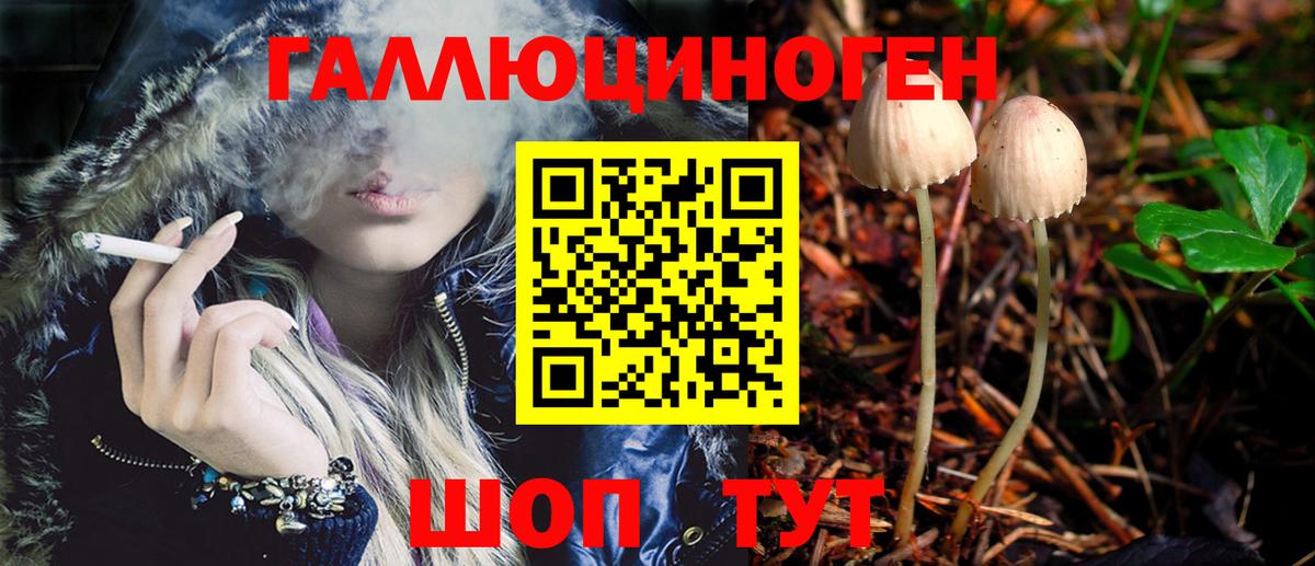 Галлюциногенные грибы Psilocybe Бийск