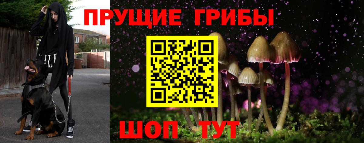 цена   Псилоцибиновые грибы мицелий  Вход с VPN  Бийск 
